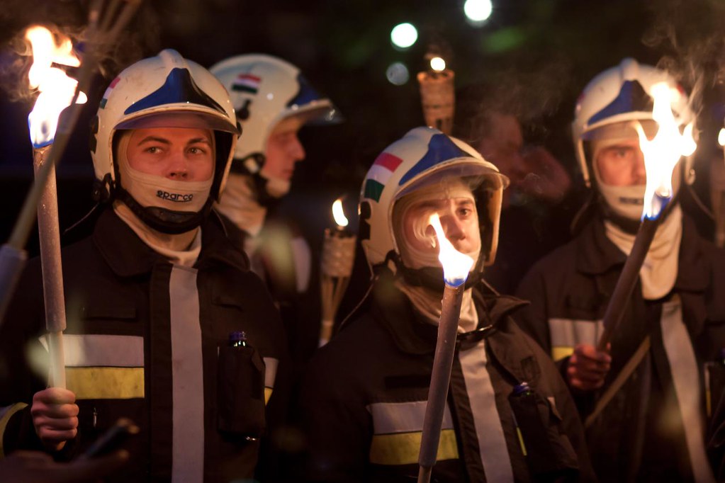 Hungarian healthcare system A report on vulnerability and chaos